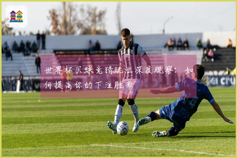 世界杯买球竞猜玩法深度观察：如何提高你的下注胜率