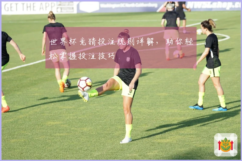 世界杯竞猜投注规则详解，助你轻松掌握投注技巧